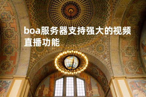 boa服务器支持强大的视频直播功能